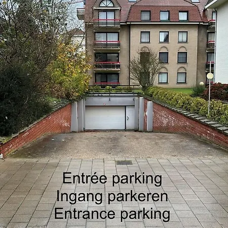 Adora * De Panne